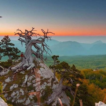 Il Vicoletto Bed & Breakfast Frascineto Dış mekan fotoğraf