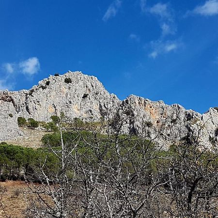 Il Vicoletto Bed & Breakfast Frascineto Dış mekan fotoğraf