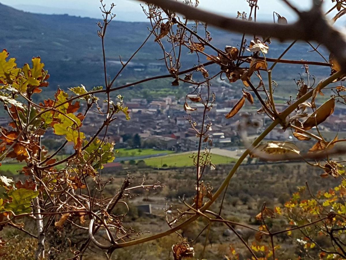 Il Vicoletto Bed & Breakfast Frascineto Dış mekan fotoğraf