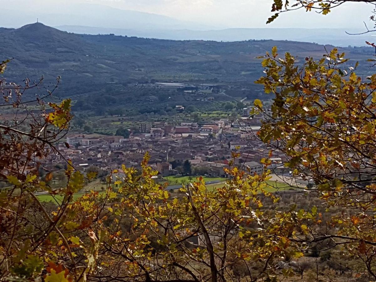 Il Vicoletto Bed & Breakfast Frascineto Dış mekan fotoğraf