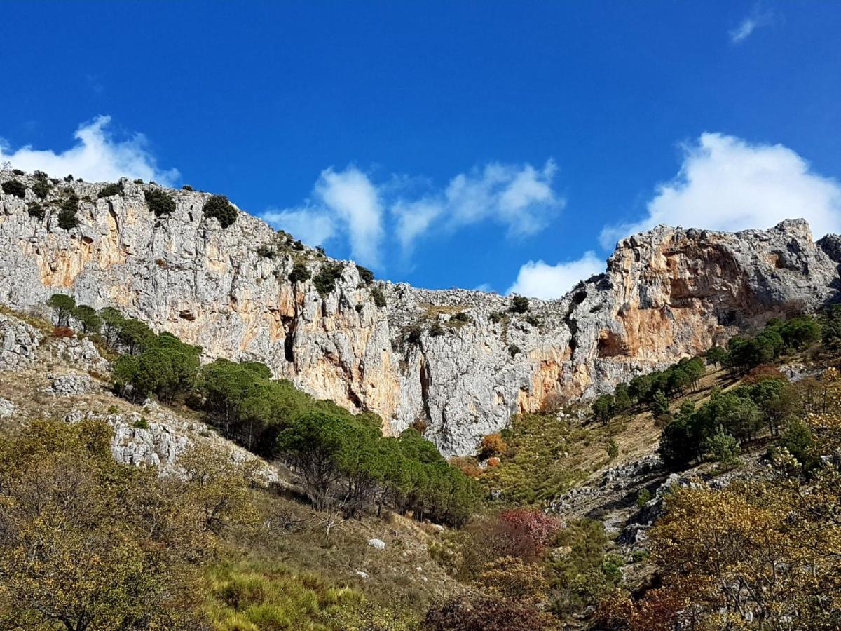 Il Vicoletto Bed & Breakfast Frascineto Dış mekan fotoğraf