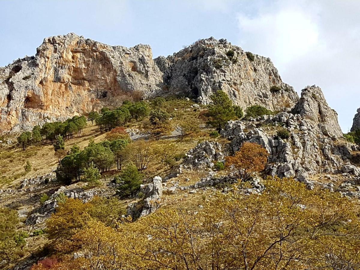Il Vicoletto Bed & Breakfast Frascineto Dış mekan fotoğraf