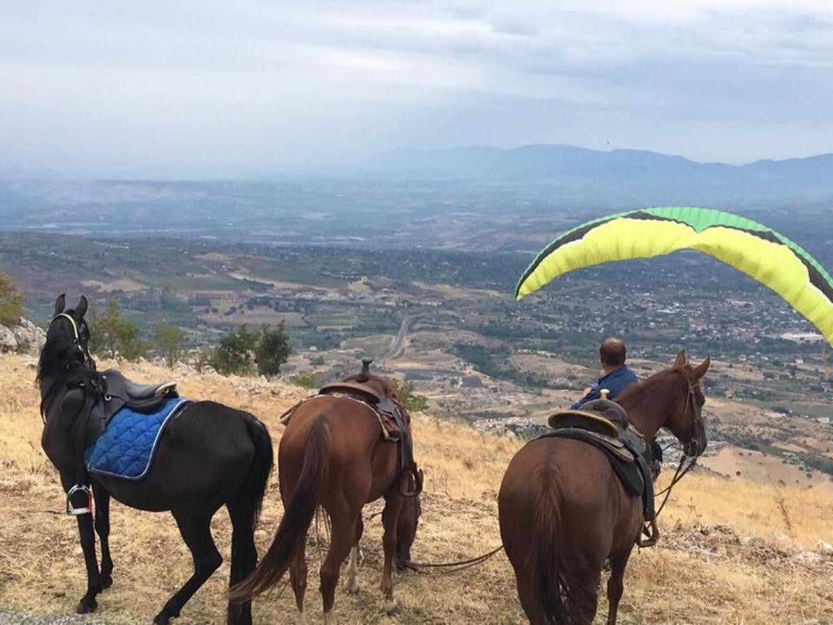 Il Vicoletto Bed & Breakfast Frascineto Dış mekan fotoğraf