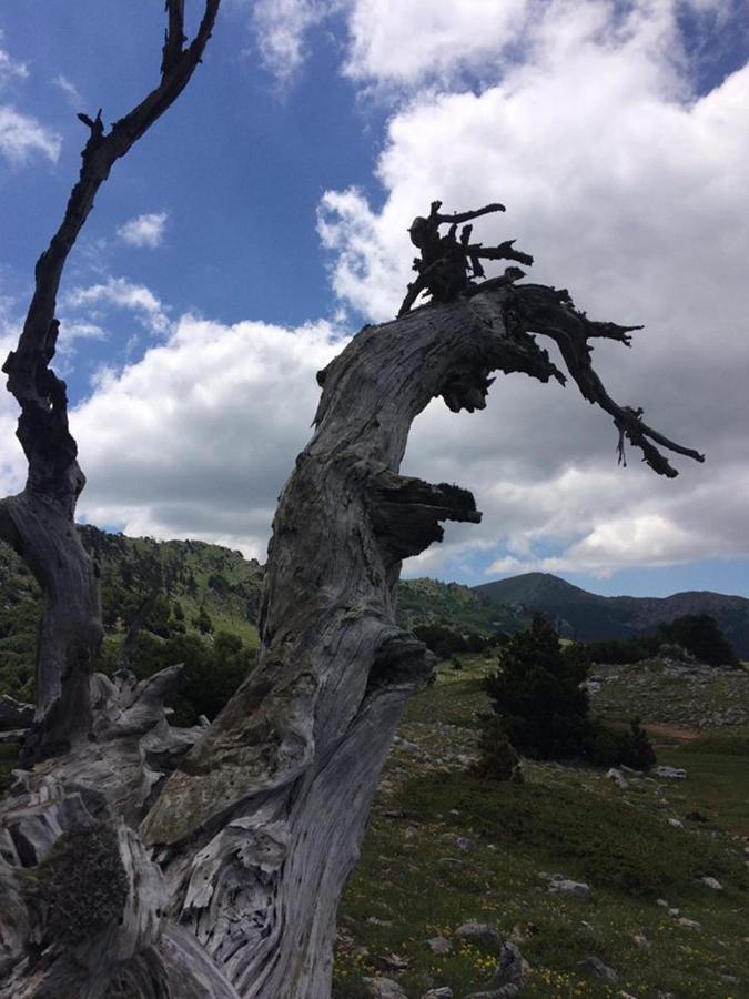 Il Vicoletto Bed & Breakfast Frascineto Dış mekan fotoğraf