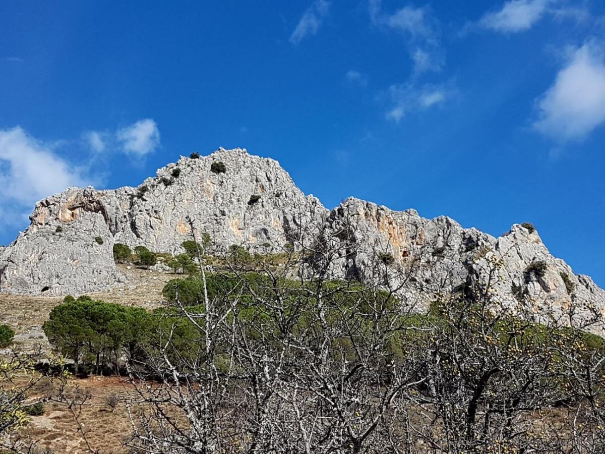 Il Vicoletto Bed & Breakfast Frascineto Dış mekan fotoğraf